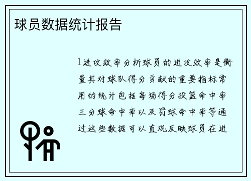 球员数据统计报告