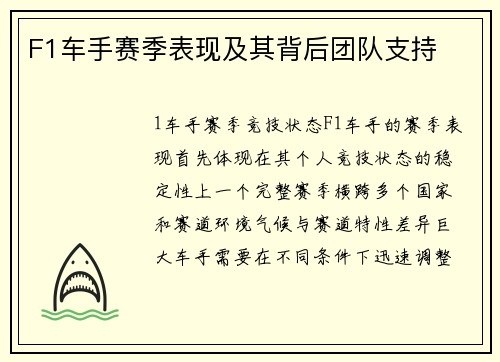 F1车手赛季表现及其背后团队支持